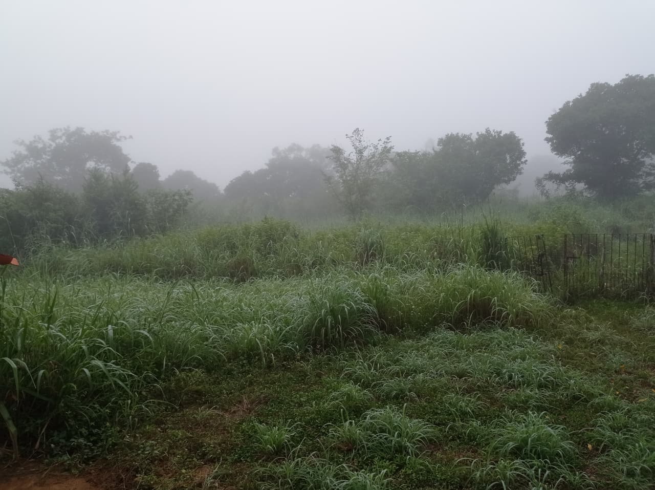 Fazenda à Venda – Floriano/PI
