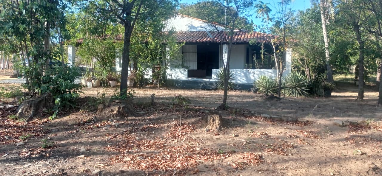 Fazenda à Venda – Floriano/PI