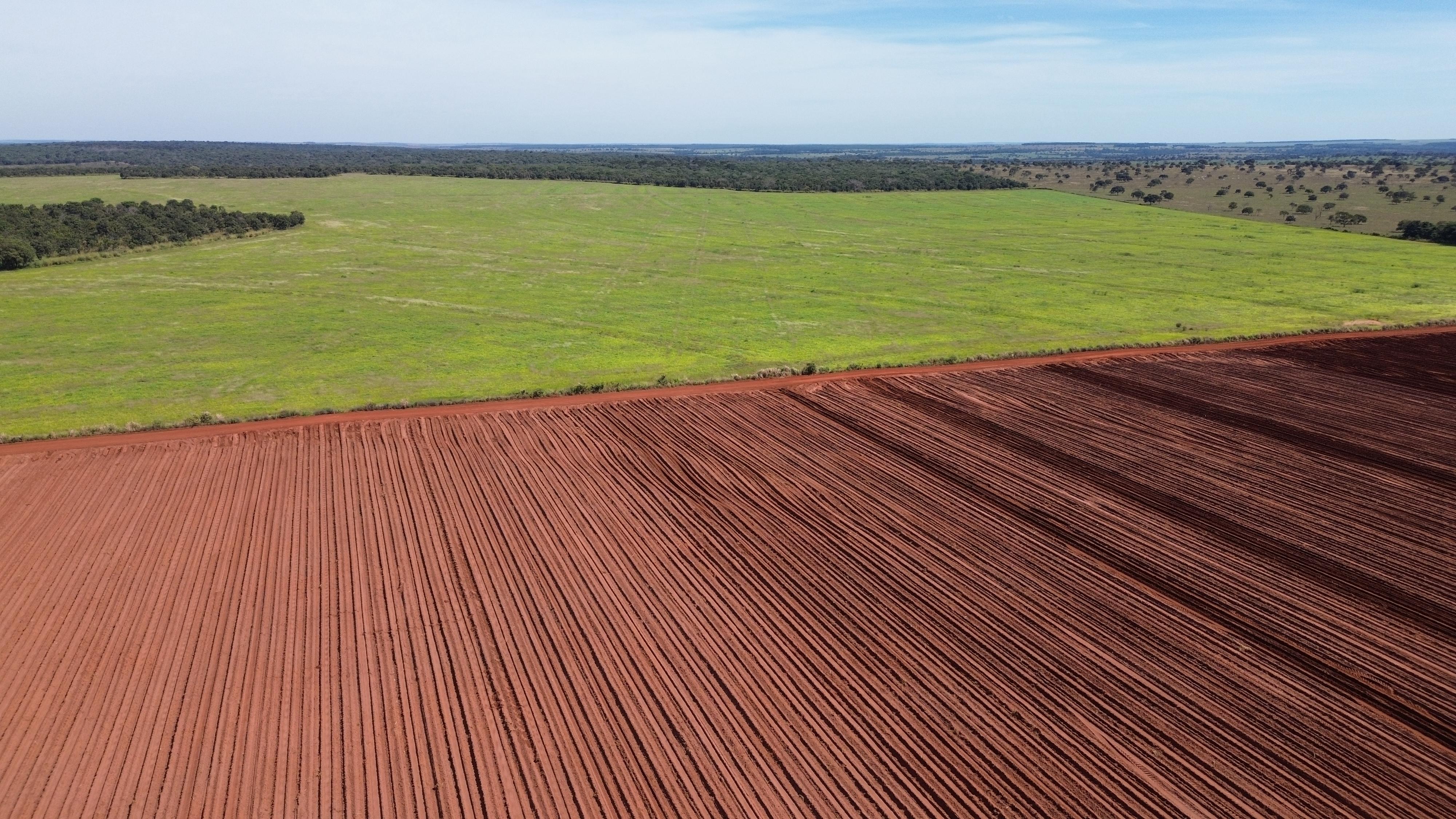🌾 Fazenda à Venda em Aporé - GO