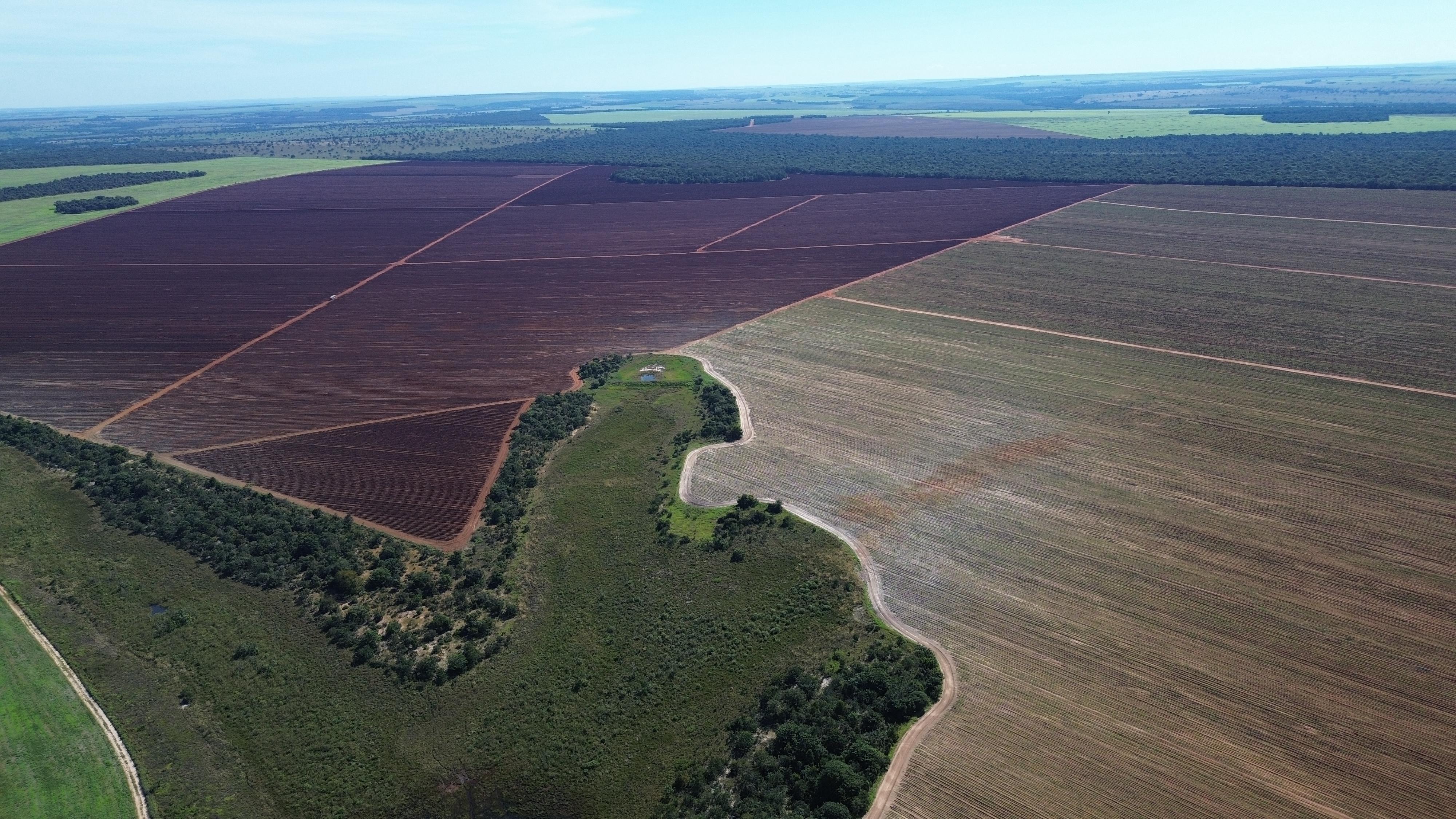 🌾 Fazenda à Venda em Aporé - GO
