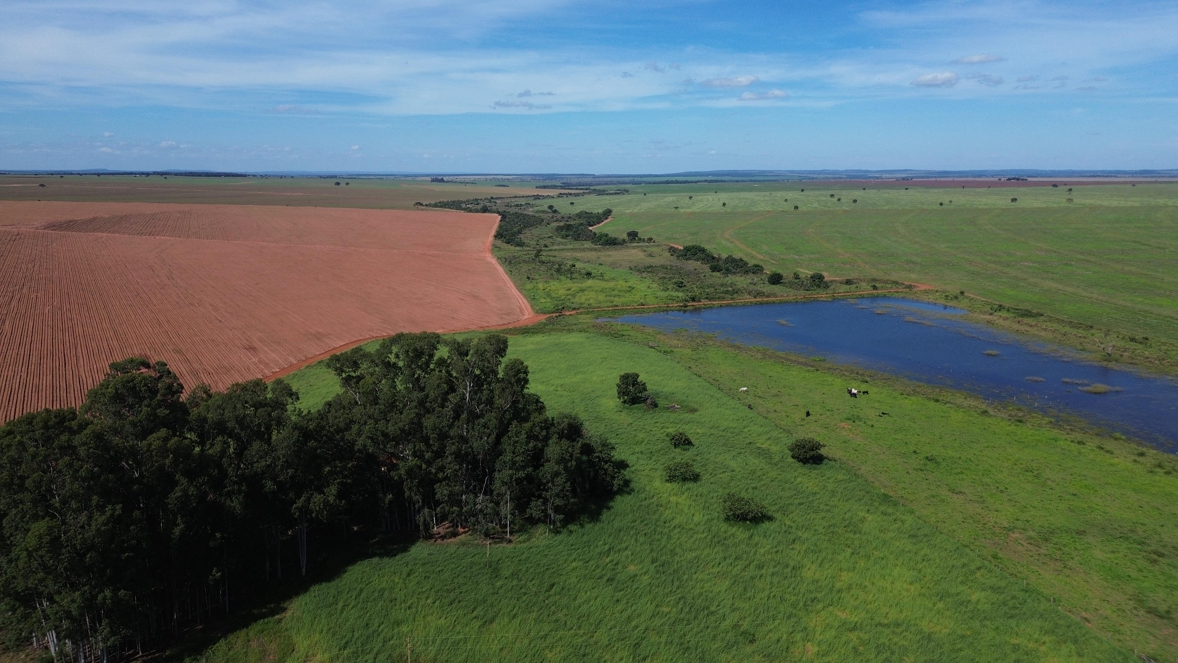 🌾 Fazenda à Venda em Aporé - GO