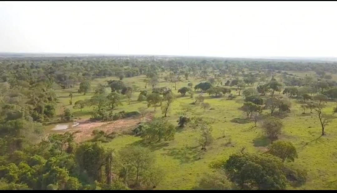 🌾 Fazenda à Venda – Jardim/MS
