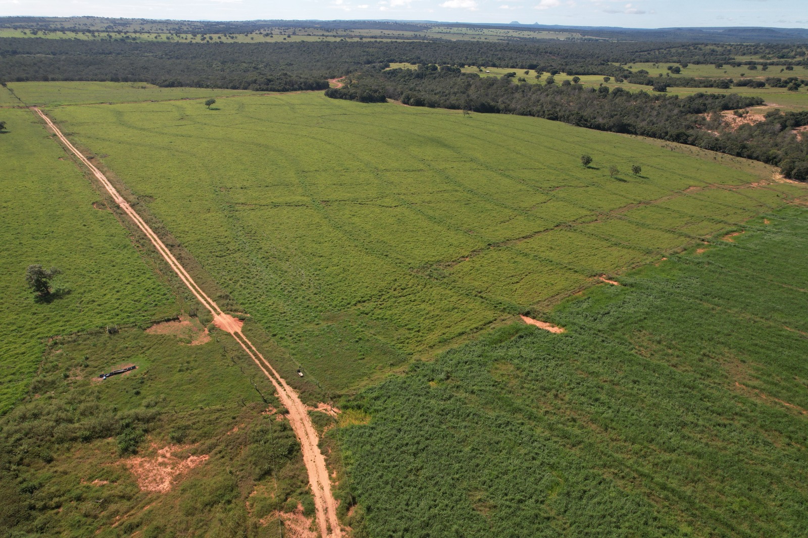 🌾 FAZENDA À VENDA – REGIÃO DE TESOURO (MT)